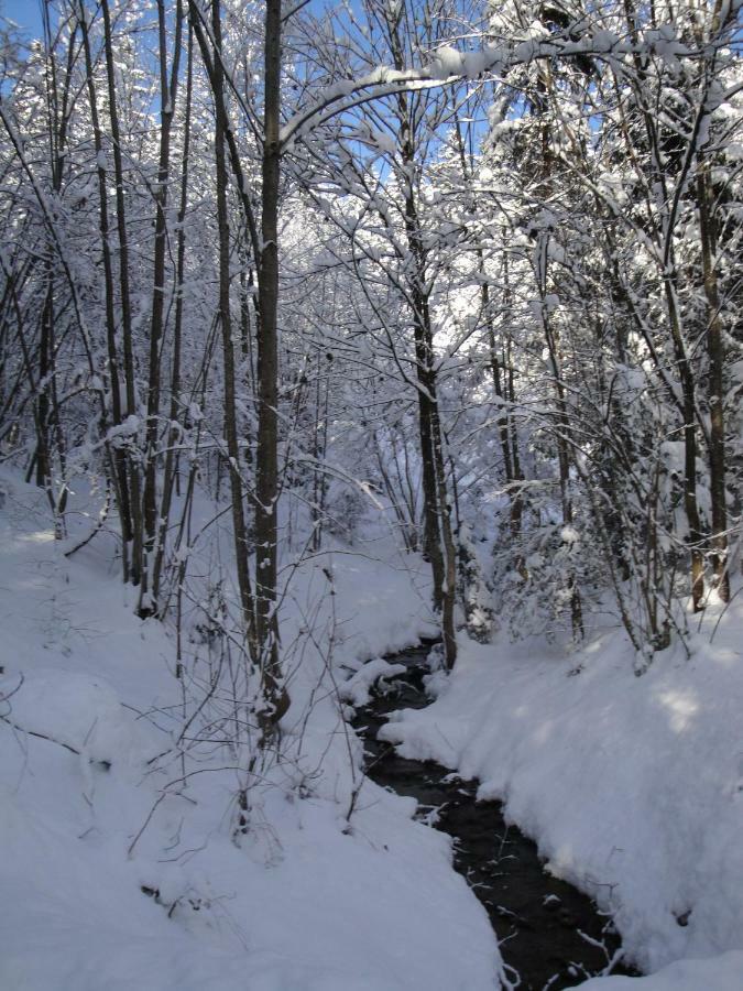 Chalet Tyrol Фюген Экстерьер фото